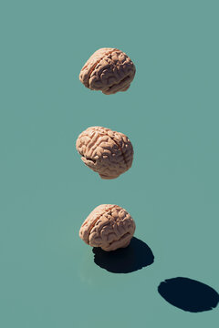 three brains