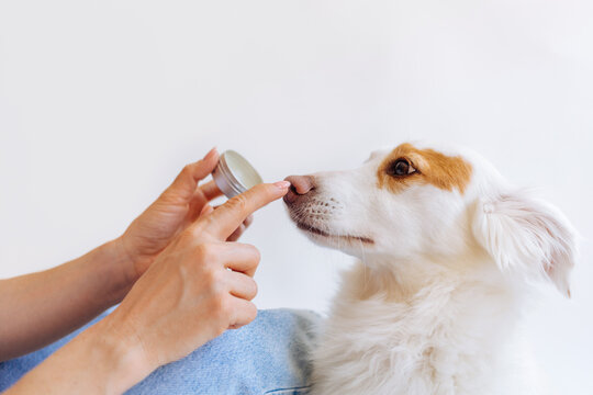 Woman Applying Balm on Dog’s Nose