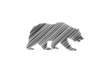 hand drawn scribble Bear line style illustration design, bear walking pencil sketch, bear scribble design 