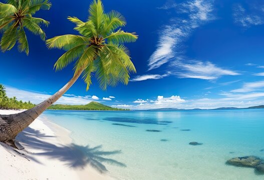 Tropical beach panorama on Fakarava French Polynes