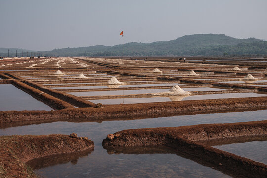 Reservoirs where salt is condensed.