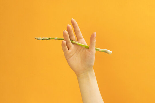 Hand holding a aspargus