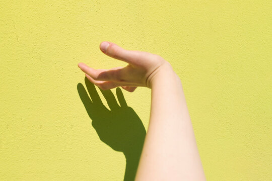 Hand