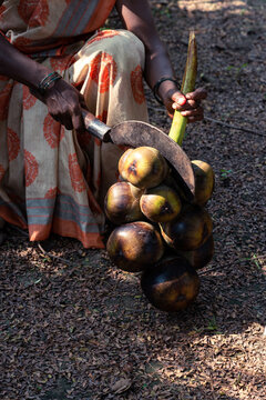 Ice-Apple - summer fruit