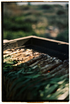 Cal&ccedil;ots