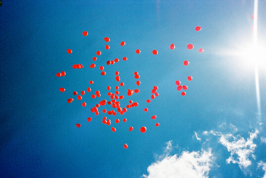 Balloons in the air