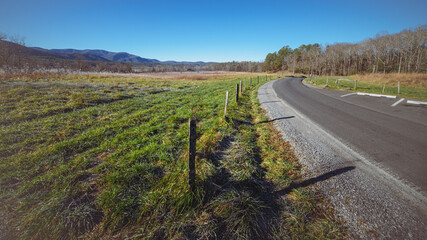Cades Cove Morning Drive | Great Smoky Mountains National Park, Tennessee, USA