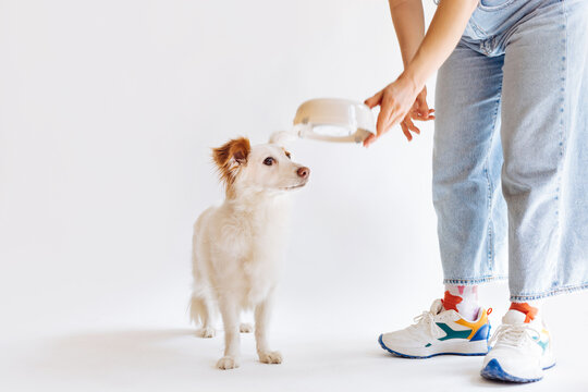 Woman Giving Food to Her Dog