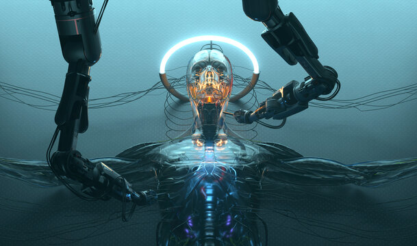 robot assembly
