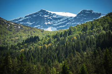 Sunny Norwegian Mountainscape Panorama