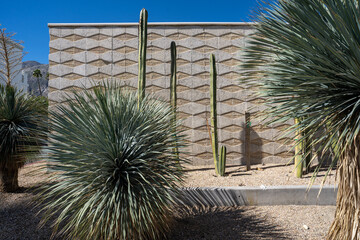 Large desert plants against mid century modern brick wall