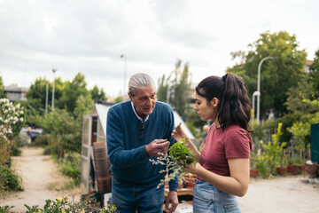 Young woman learning cultivation techniques in an urban garden
