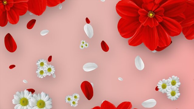 3D Daisy Background. The video of this image is in my portfolio.