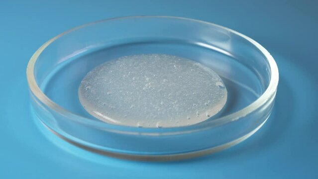 Petri dish with Guar gum dissolved in water. Mixture is widely used in food industry for thickening gluten-free products, pastries and beverages. Food additive E412. Stabiliser and Thickener.