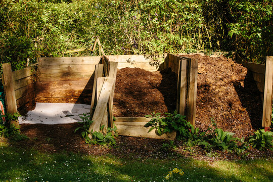 Compost bays in a garden
