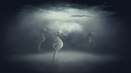 Surreal, 3D. Dry Sea and Sea Horses Floating in the Air. The video of this image is in my portfolio.