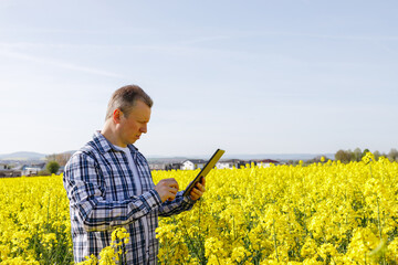 A male farmer stands in a rapeseed field with a digital tablet in his hands. The agronomist checks the condition of the crop. Modern technologies in agriculture. - obrazy, fototapety, plakaty