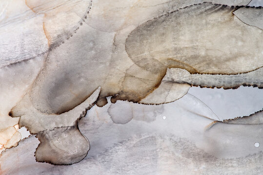 A detail from an alcohol ink painting.