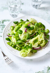 Salad of green vegetables and red onion. Healthy lifestyle diet