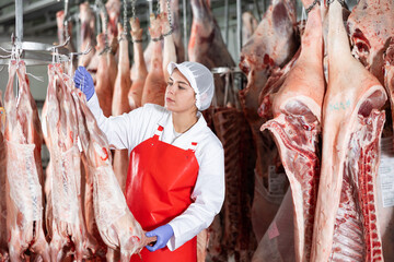 Positive interested young female butcher working in chilling room of meat processing factory,...