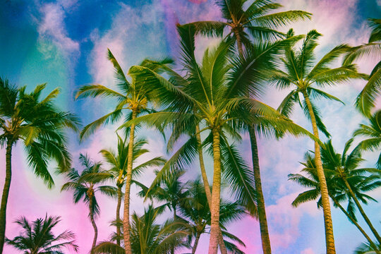 colorful maui scenery with brightly colored palm trees 