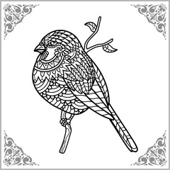 magpie bird zentangle arts. isolated on white background