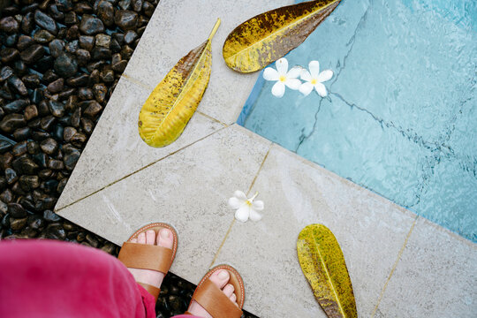 Women's Feet In Sandals By The Pool
