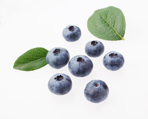 ブルーベリー　　白バック