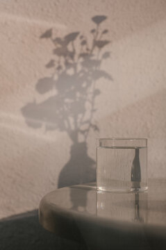 Shadowplay