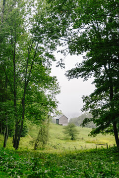 Vertical image Vermont Summer  Landscape lone barn in morning mist 