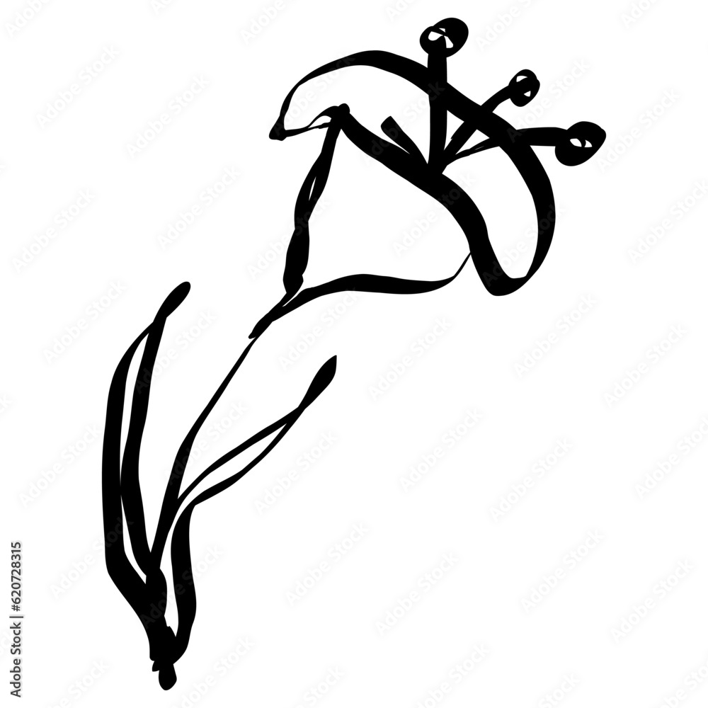 Wall mural flower icon. simple hand drawn floral element. black sketch ink drawing plant. wildflower