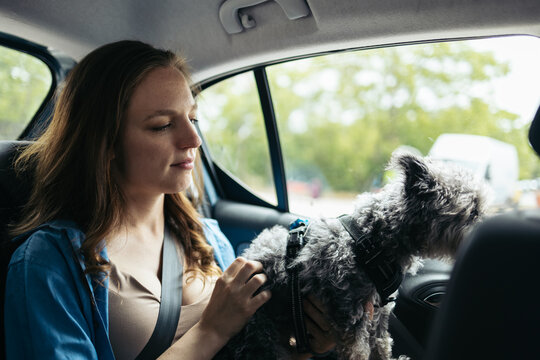 Woman with her dog in the car