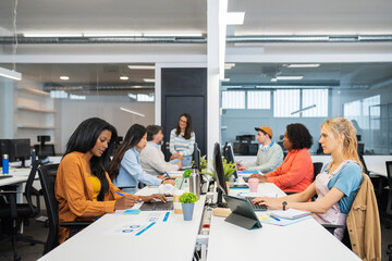 Diverse colleagues working in start up