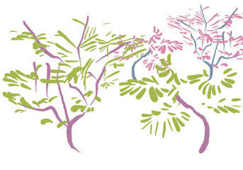 transparent branches, floral textures, surface pattern, botanical marks, line art, drawing of branches, leaves, foliage