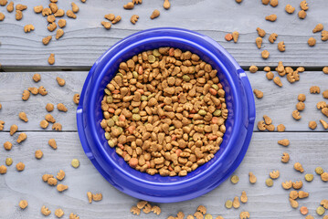 Bowl with dry pet food on color wooden background