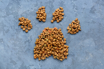 Pet paw made of dry food on color background