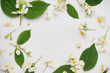 Frame made of beautiful jasmine flowers and leaves on light background