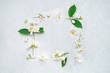Frame made of beautiful jasmine flowers on light background