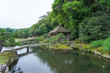 Fototapeta na wymiar きれいに手入れされた日本庭園と古い茅葺きの日本家屋のコラボ情景