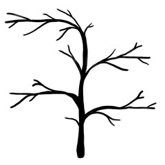 Obraz premium Halloween