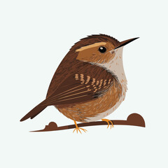vector cute wren cartoon style