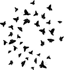 Fototapeta na wymiar fluttering butterfly silhouette design illustration