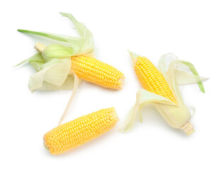 Fresh corn cobs on white background