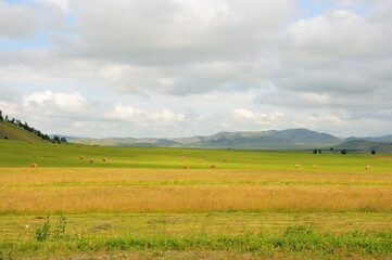 Mowed yellowed grass in the endless steppe at the foot of a ridge of high hills under a summer cloudy sky.