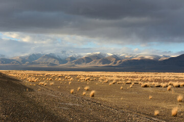 Yellowed bushes in the endless autumn steppe at the foot of snow-covered mountain ranges with peaks in the clouds.