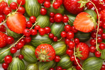 Fresh strawberry, currant and gooseberry as background, closeup