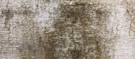 Grunge Texture Background 