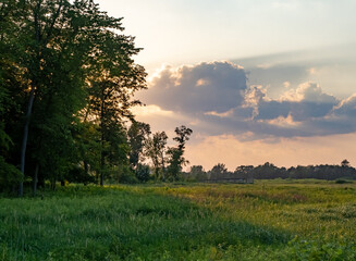 Wetland Prairie with Lush Grass and Cloudy Skies at Sunset