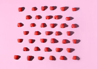 Many fresh raspberries on pink background