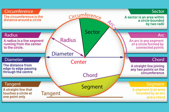 Parts of a circle. School. Math. Vector illustration.